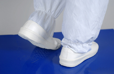 ��ճ��������ճ����