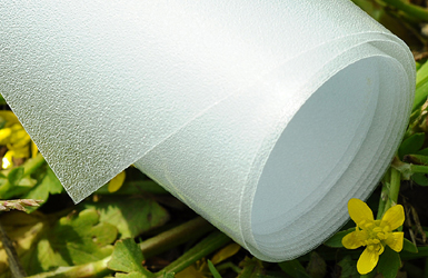 ����Ĥ��Ʒ��ҵ��PVCĥɰ͸��